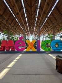 Curious Tracks and New Views at Tren Maya in Cancún