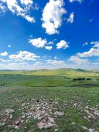 From Temples to Tents: The Spirit of Hohhot