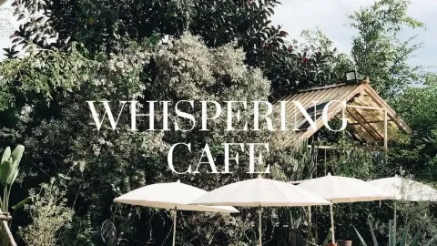 Whispering Cafe 🤍🌿 — traveler post in Ohio