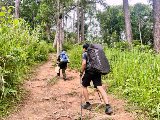 อุทยานแห่งชาติดอยขุนตาล อุทยานแห่งชาติดอยขุนตาล