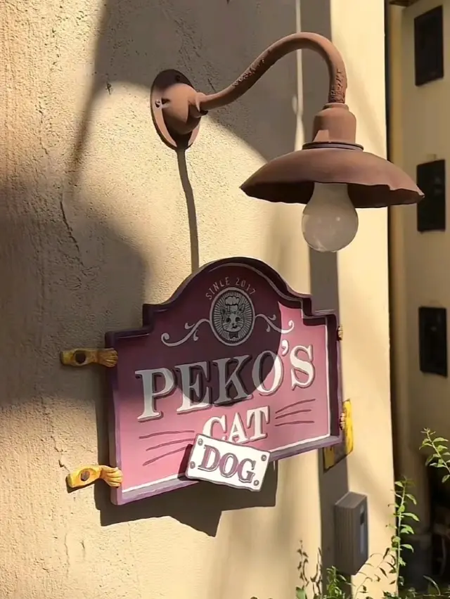 Kichijoji Petit Mira Cat Cafe