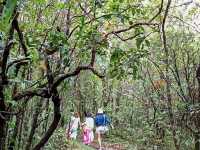 รับลมหนาว อุทยานแห่งชาติภูเรือ เลย