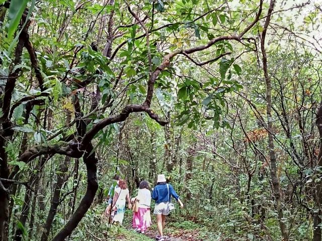 รับลมหนาว อุทยานแห่งชาติภูเรือ เลย