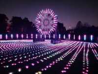 🎆Lightscape Part 1🎆