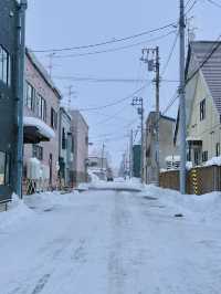 올 겨울은 일본 눈의 낭만, 홋카이도에서 보내보세요! ❄️
