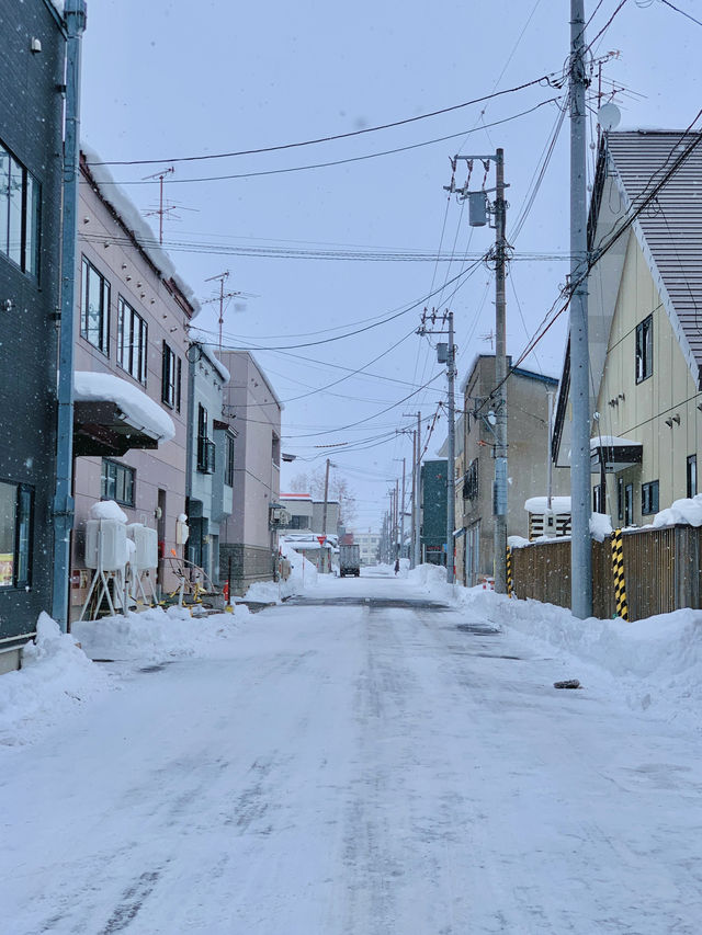 올 겨울은 일본 눈의 낭만, 홋카이도에서 보내보세요! ❄️