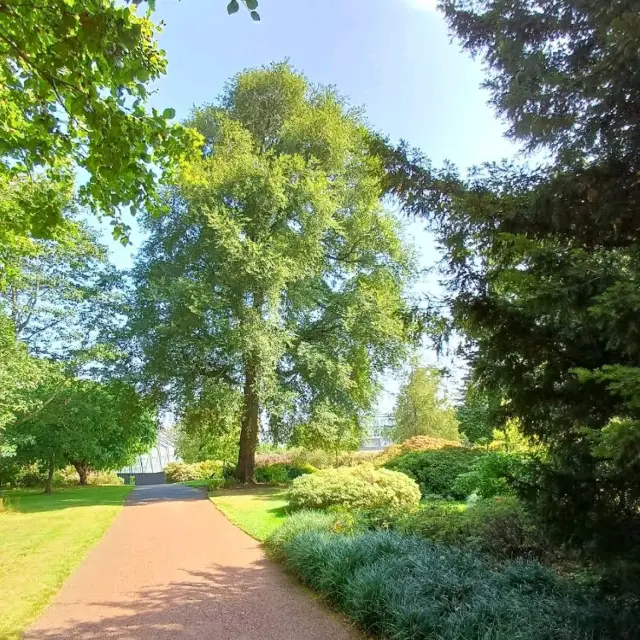 Royal Botanic Garden Edinburgh