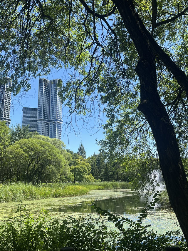 🌳 도심 속 힐링, 서울숲으로 떠나볼까요?