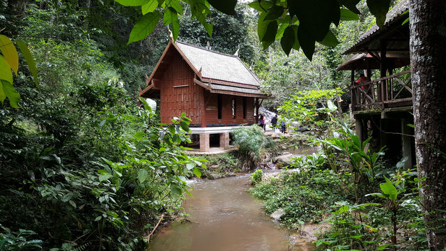 🌿 Mae Kampong: A Hidden Gem in Chiang Mai’s Misty Mountains