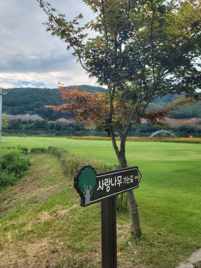 꽃놀이하고 힐링하기 딱인 화천 여행지🩷