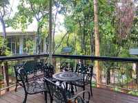 Dipterocarp Walk at The Canopy, Taman Botani Putrajaya – A Nature Escape Above the Trees