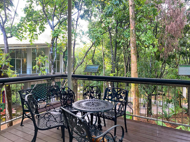 Dipterocarp Walk at The Canopy, Taman Botani Putrajaya – A Nature Escape Above the Trees