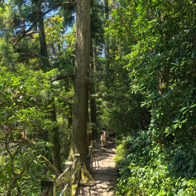 太白山絕美秘景～賞心悅目🌳  