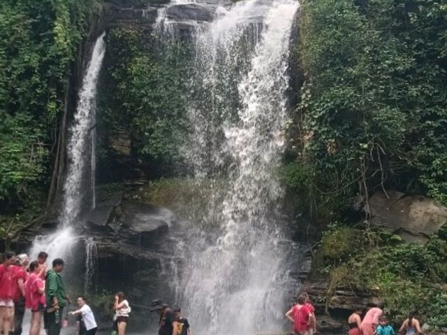 Kerchor elephant eco park