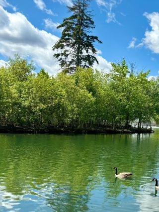 セント・バイタル・パーク – ウィニペグの緑豊かな川沿いの憩いの場
