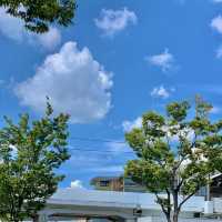 교토에 있는 우메코지공원 🎄🌴🌳