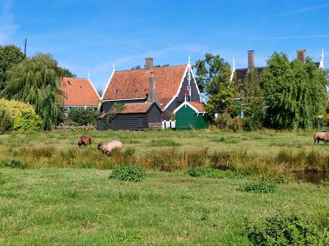 The Enchanting Zaanse Schans Windmill Village