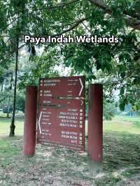 Paya Indah Discovery Wetlands: A Natural Escape with Wildlife Wonders