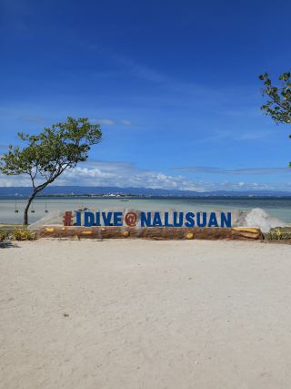 [Cebu🇵🇭] A luxurious day on the island🤍