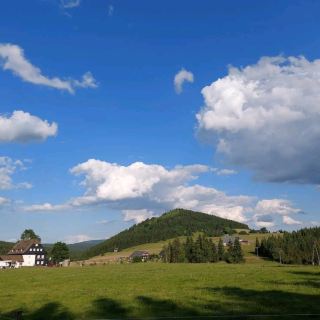 Jizera Mountain Beech Forest (UNESCO Site)