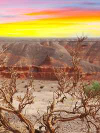 มองโกเลีย