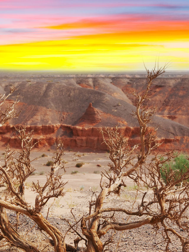 มองโกเลีย มองโกเลีย