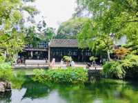 A Tranquil Escape from the City