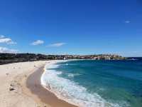 From Opera House Views to Golden Beaches — Discovering Sydney