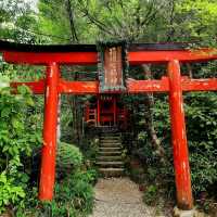 How to Nail Your Hakone Shrine Visit 🎴✨