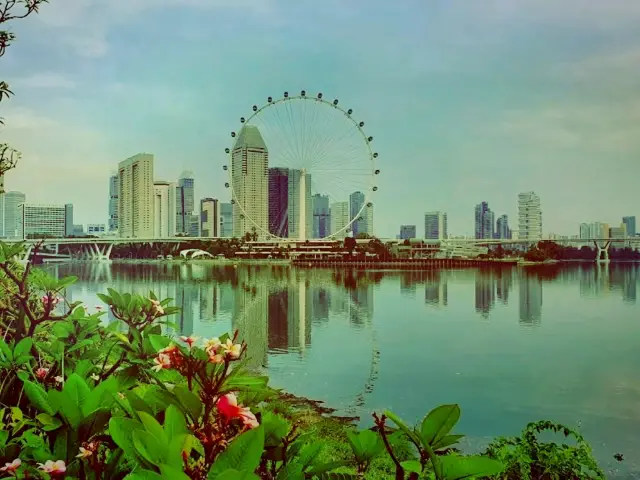 新加坡摩天觀景輪 — 欣賞獅城美景的最佳選擇
