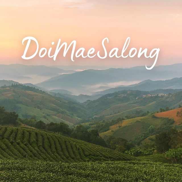 DoiMaeSalong