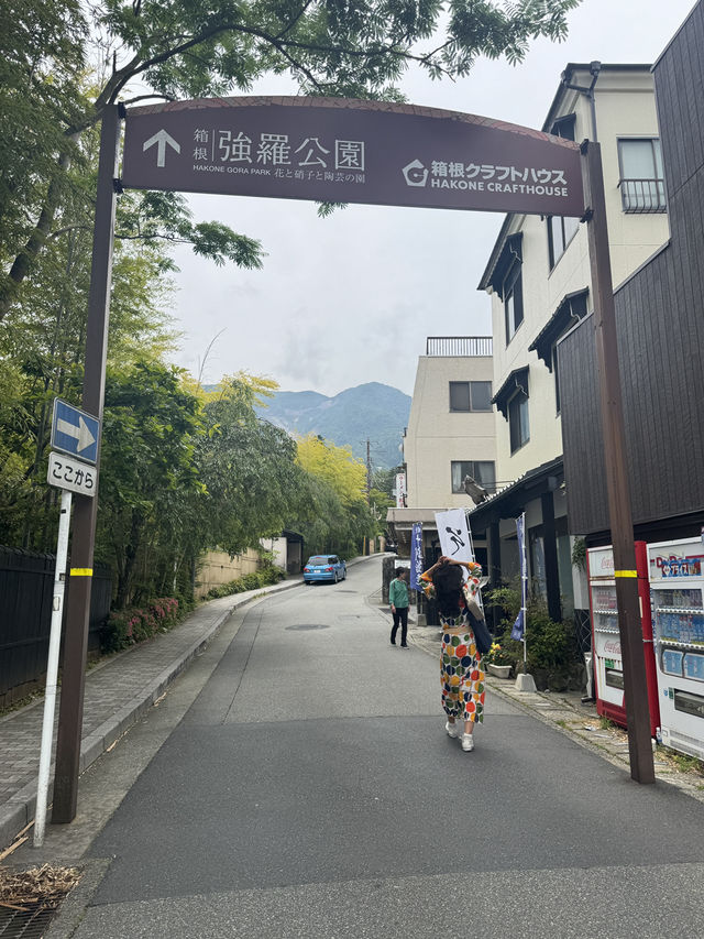 日本|箱根絕對要入手的周遊券 日本|箱根絕對要入手的周遊券