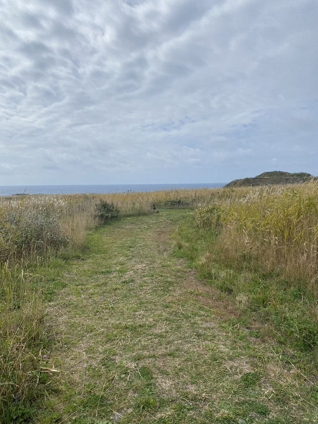  映画のロケ地がそのまま公園に！礼文島「北のカナリアパーク」で絶景ひとり占め🎬🌿