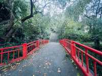 仙台・亀岡八幡宮｜石鳥居と長い石段が語る歴史と自然のパワースポット