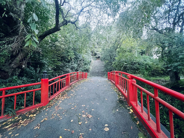 仙台・亀岡八幡宮｜石鳥居と長い石段が語る歴史と自然のパワースポット