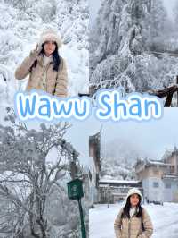 One Day Trip Chengdu to Wawu Shan 