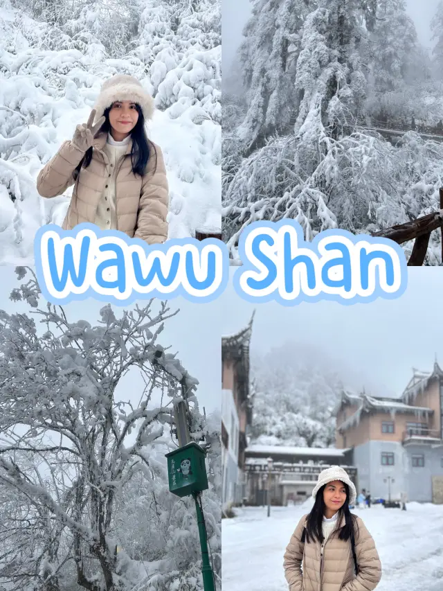 One Day Trip Chengdu to Wawu Shan