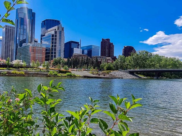 Urban Oasis Urban Oasis