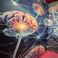 🔬 Discovery Awaits at Science Expériences Lyon