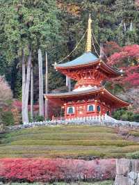 🪆日本勝尾寺打卡遊記｜滿滿達摩的祈福聖地✨