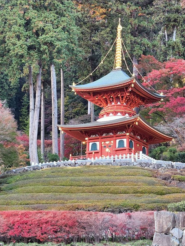  🪆日本勝尾寺打卡遊記｜滿滿達摩的祈福聖地✨