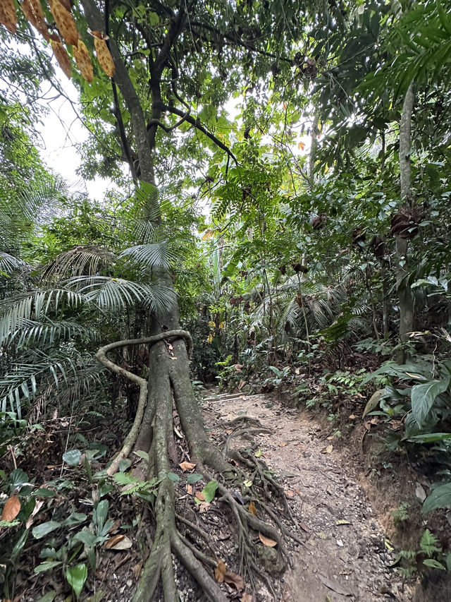 Urban Jungle Walk🌳  Taman Tugu