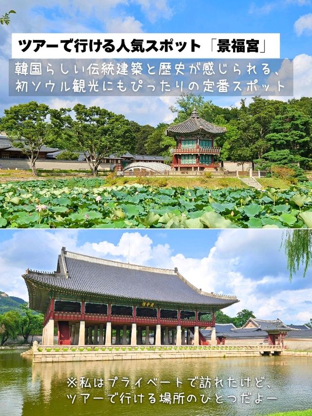 ✈️【乗り継ぎ時間が“観光時間”に変わる！】　⁡