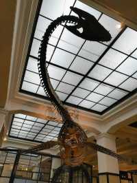 NATIONAL MUSEUM OF NATURE AND SCIENCE.