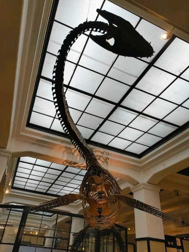 NATIONAL MUSEUM OF NATURE AND SCIENCE.