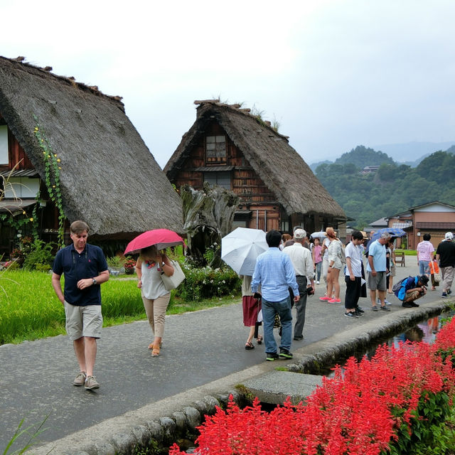 無人不曉的世界文化遺產一白川鄉合掌造