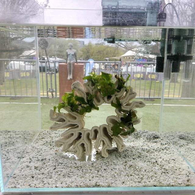 🖼️Floriade Bonus Part 2🖼️