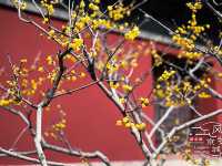 🏯 Shifang Pujue Temple — One of Beijing’s Oldest Buddhist Temples