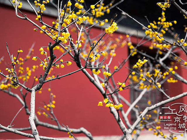 🏯 Shifang Pujue Temple — One of Beijing’s Oldest Buddhist Temples