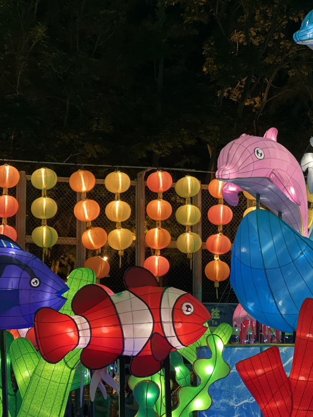 🧧2025年維多利亞公園中秋綵燈會🌕 